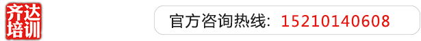 大雷妹叉逼齐达艺考文化课-艺术生文化课,艺术类文化课,艺考生文化课logo